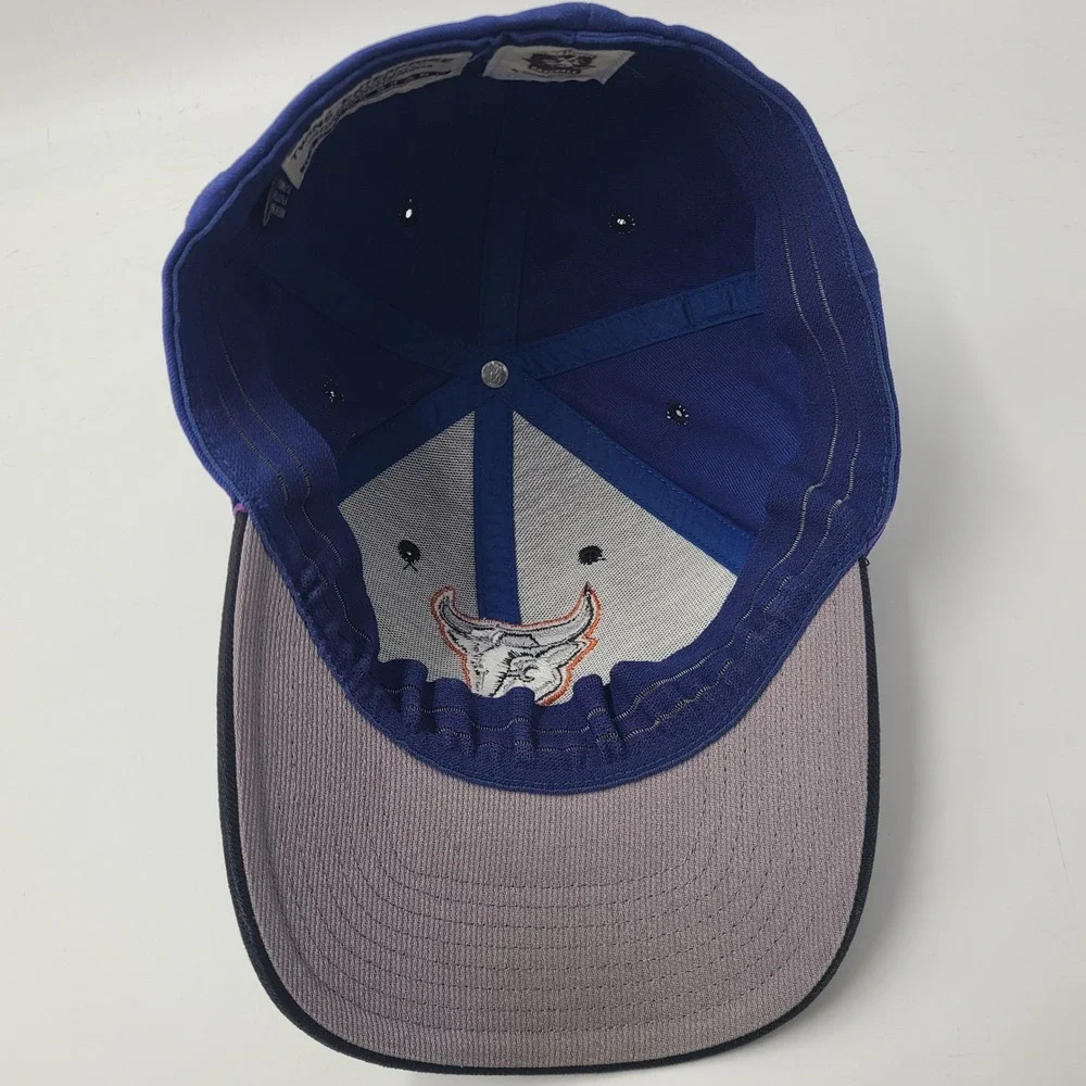 Vintage Durham Bulls Hat Fitted (Seems M-L) Twins Enterprise Blue Black MiLB Men